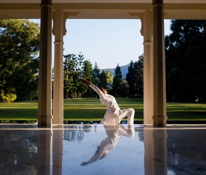Ananda in the Himalayas